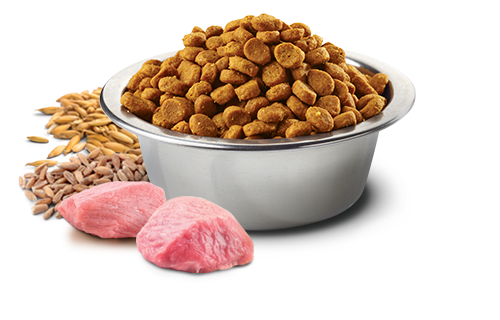 Farmina N&D Dog Tropical Pork Adult