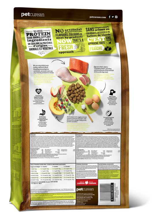 Now Dog Small Breed Puppy