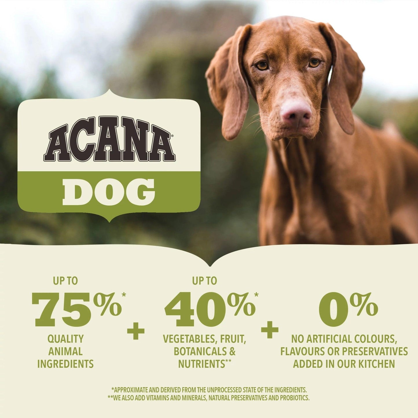 Acana Senior Dry Dog Food Recipe