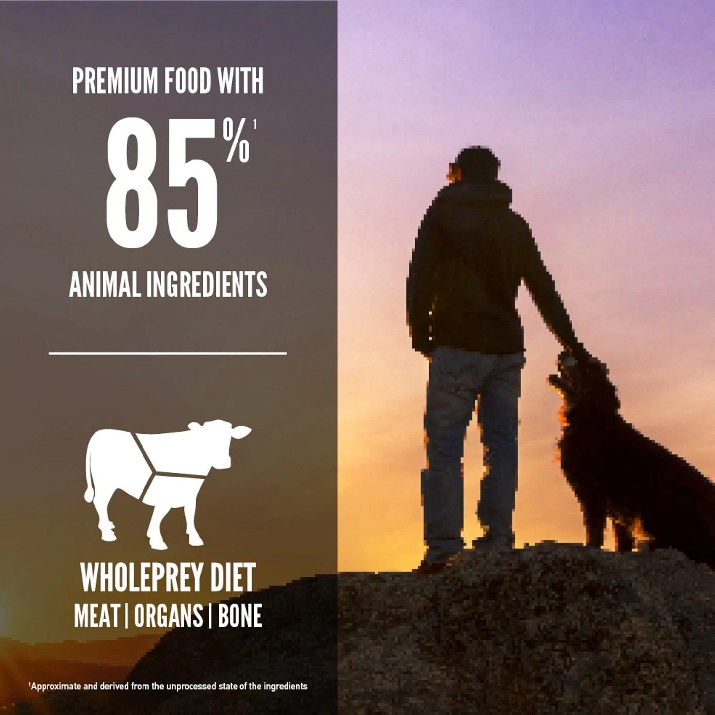 Orijen Regional Red Dry Dog Food Recipe