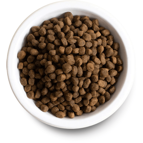 Open Farm Dog Food Wild Caught Salmon