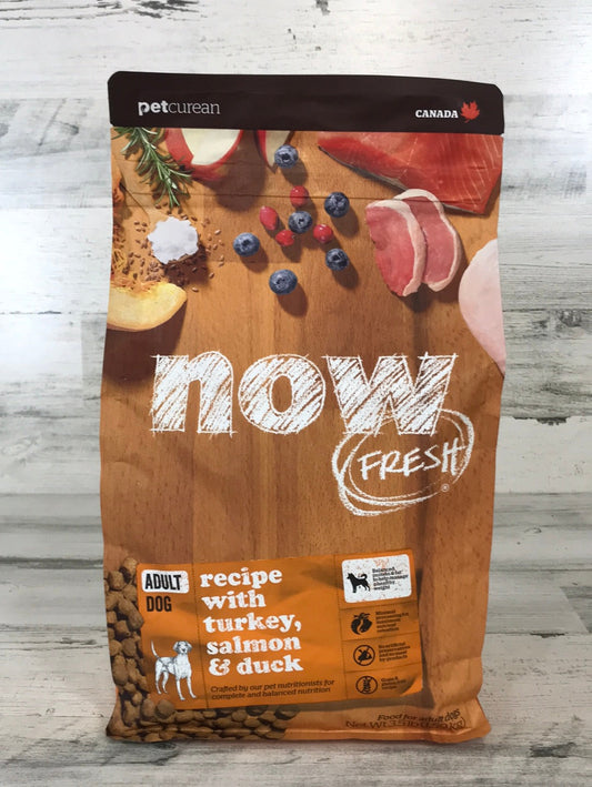 Now Fresh Adult Grain Free Dry Dog Food