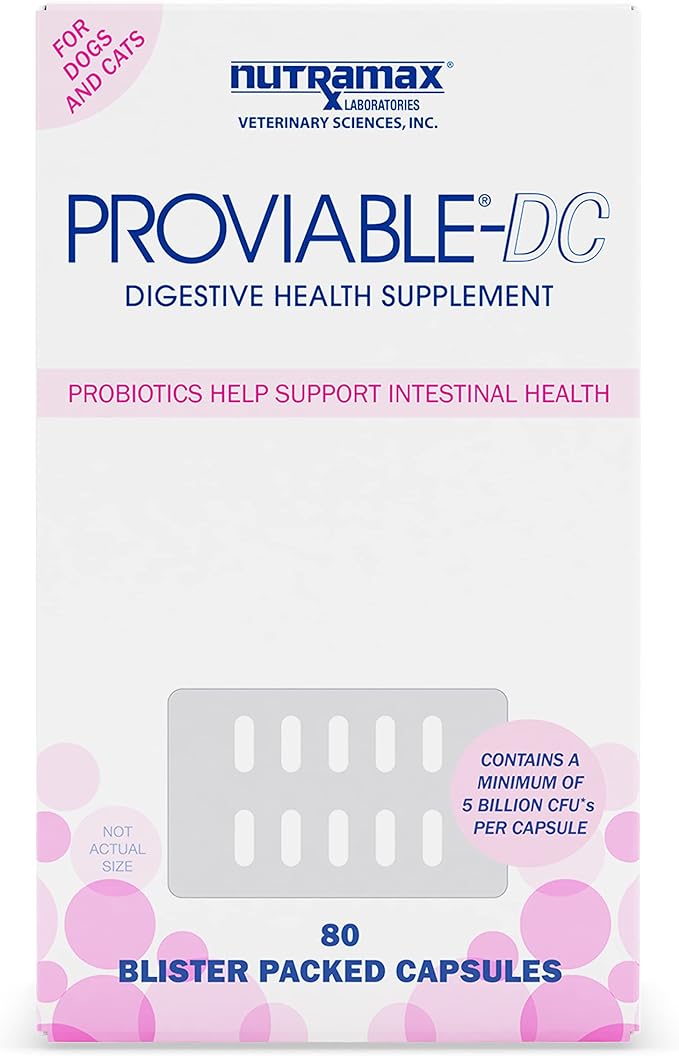 Nutramax Proviable Digestive Health Supplement Multi-Strain Probiotics and Prebiotics for Cats and Dogs - with 7 Strains of Bacteria, 80 Capsules