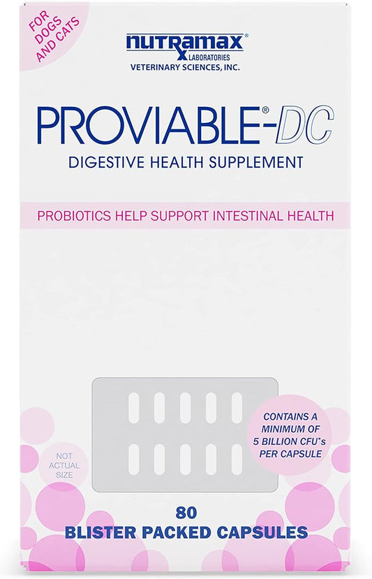 Nutramax Proviable Digestive Health Supplement Multi-Strain Probiotics and Prebiotics for Cats and Dogs - with 7 Strains of Bacteria, 80 Capsules