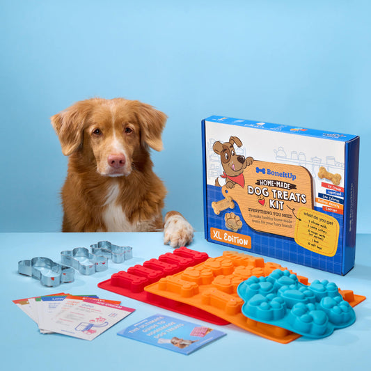 BoneItUp® Dog XL Version
