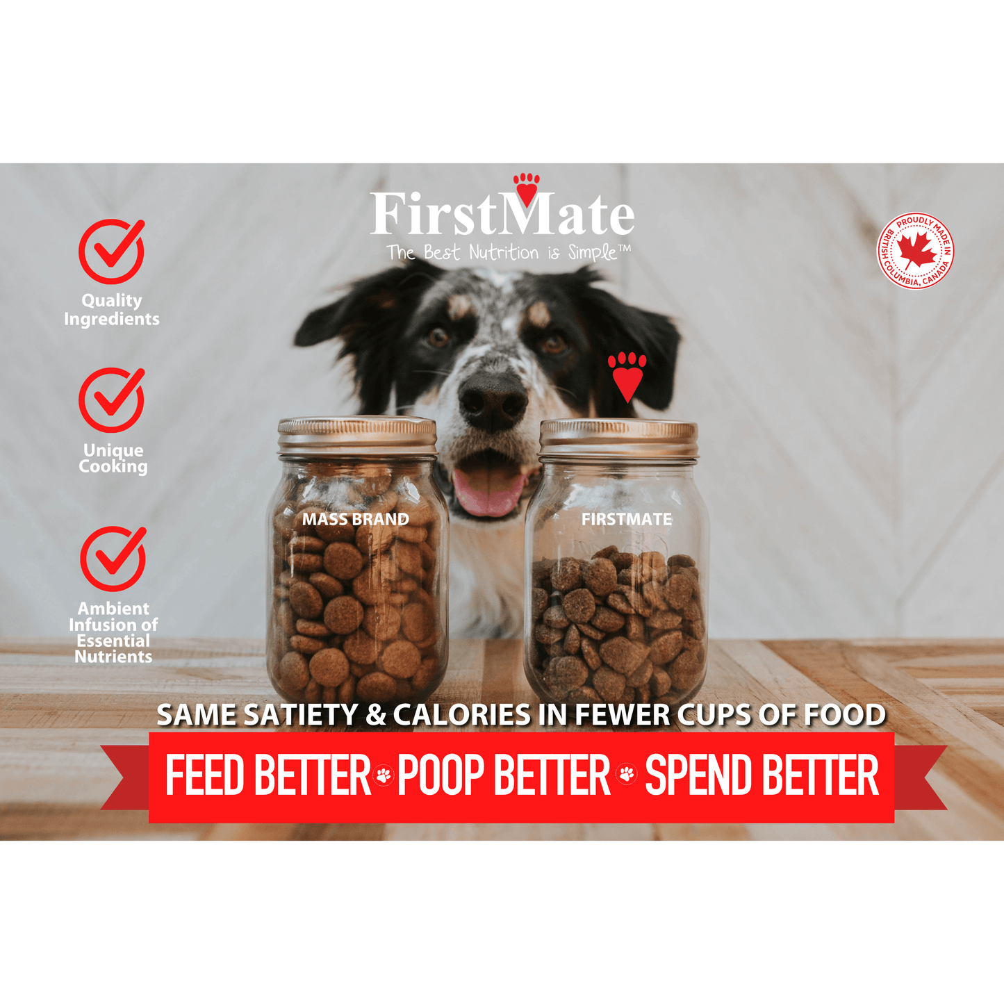 FirstMate Grain Friendly High Performance For Active Dogs & Puppies