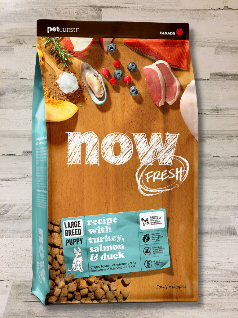 Now Fresh Puppy Large Breed Grain Free Dry Dog Food