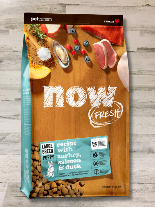 Now Fresh Puppy Large Breed Grain Free Dry Dog Food