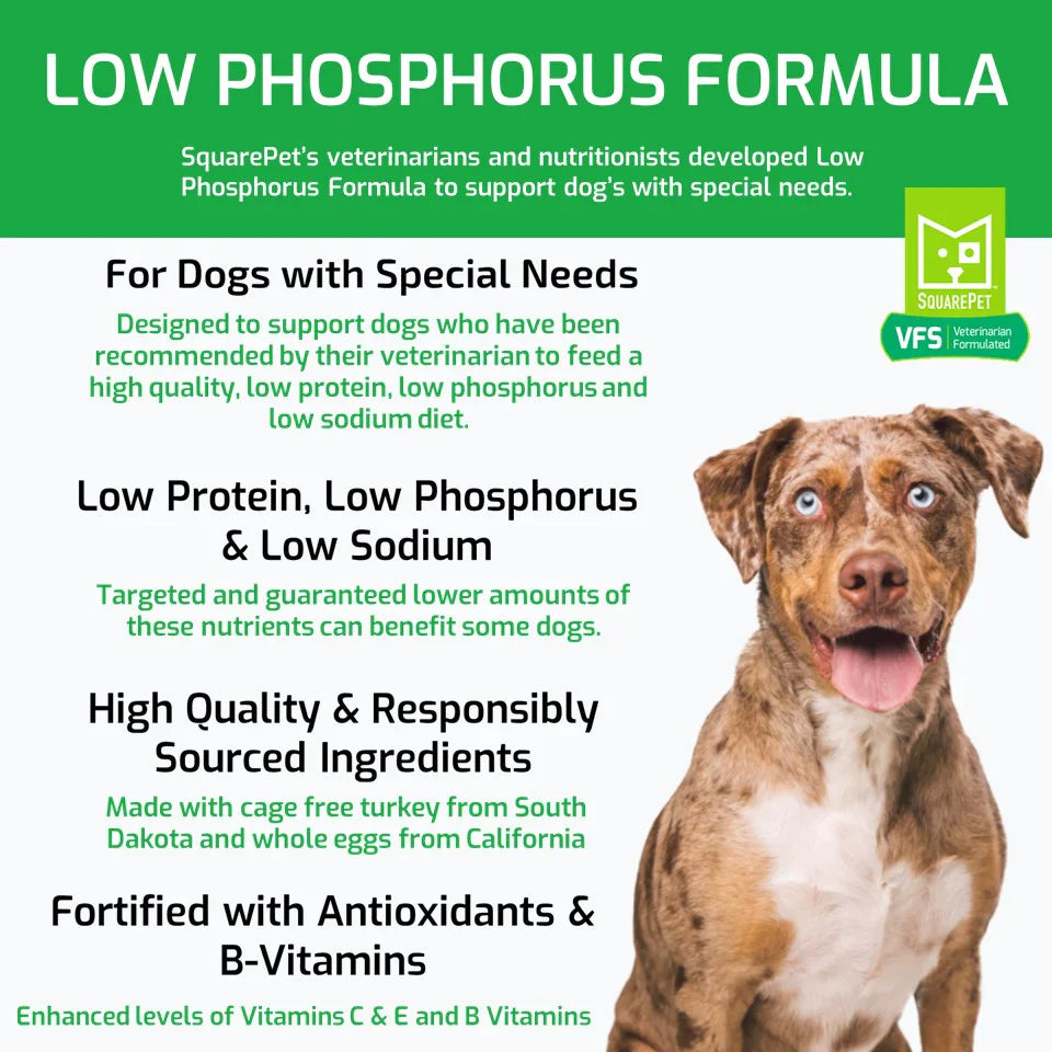 Square Pet Dog Low Phosphorus Formula (Green)