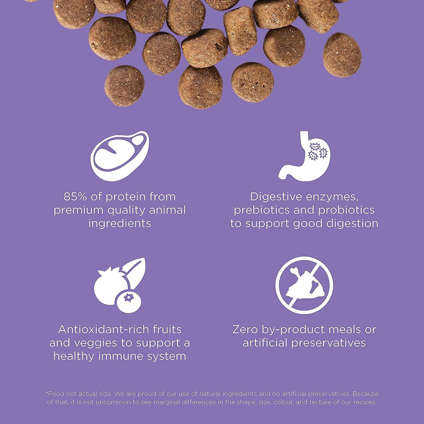 GO! CARNIVORE Grain Free Chicken, Turkey + Duck Senior Recipe for dogs