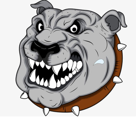 Solar Shower Bag Portable 5.3 Gallons/20L Solar Heating Camping Shower Bag Hot Water with Temperature 45?C Removable Hose On/Off Switchable Shower Head Hiking Climbing Summer